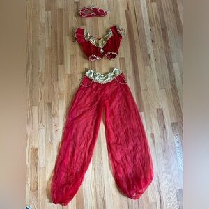 Arabian Princess Costume